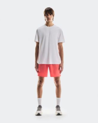 Heren Focus-T